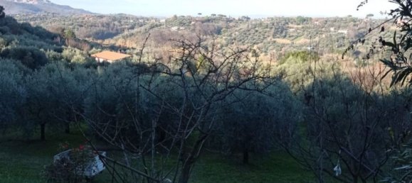 5000m² Land in Palombara Sabina, Italy No. 74882 11