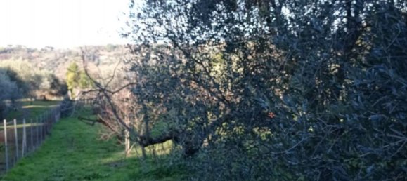 5000m² Land in Palombara Sabina, Italy No. 74882 7