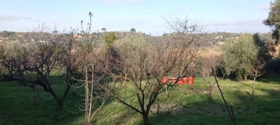 5000m² Land in Palombara Sabina, Italy No. 74882 6