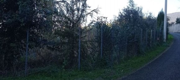 5000m² Land in Palombara Sabina, Italy No. 74882 13