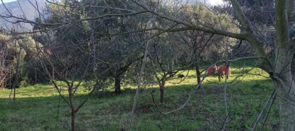 5000m² Land in Palombara Sabina, Italy No. 74882 3