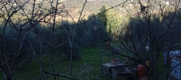 5000m² Land in Palombara Sabina, Italy No. 74882 10