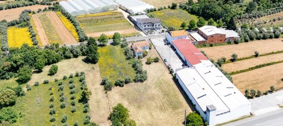 4 bedrooms House in Lousa, Portugal No. 181910 43