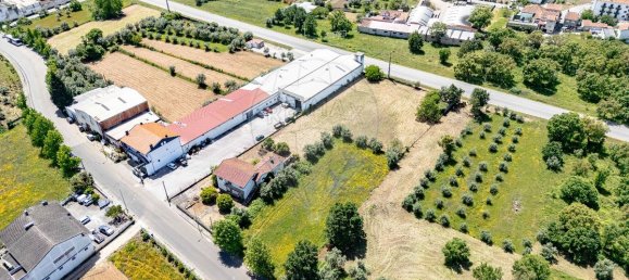 4 bedrooms House in Lousa, Portugal No. 181910 41