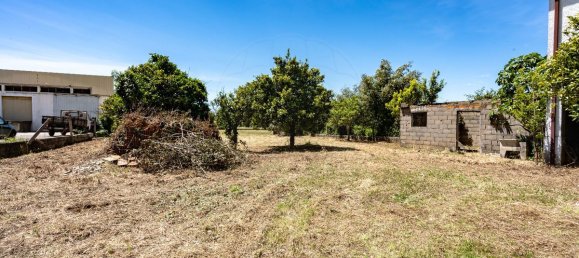 4 bedrooms House in Lousa, Portugal No. 181910 35