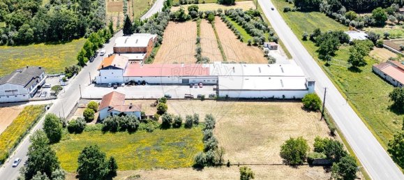 4 bedrooms House in Lousa, Portugal No. 181910 42