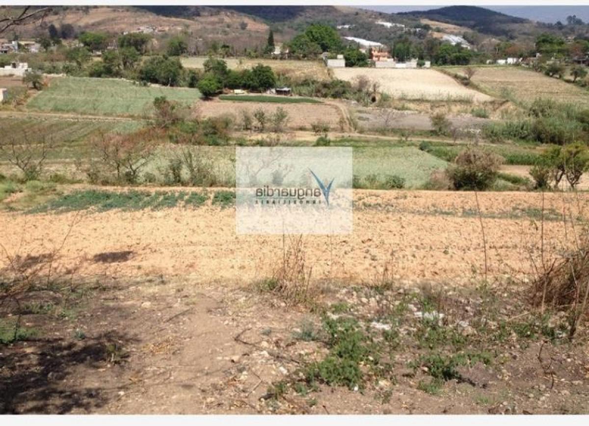  Land in Tonatico, Mexico No. 207188