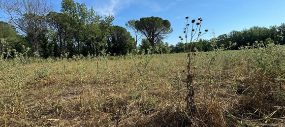 Grundstück in Tourrettes, France 1500m², Nr. 185266 4