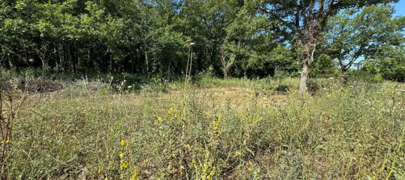 Grundstück in Tourrettes, France 1500m², Nr. 185266 3