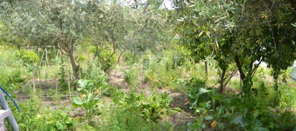 5 غرف نوم منزل في Portalegre, Portugal رقم 173531 6