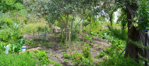 5 غرف نوم منزل في Portalegre, Portugal رقم 173531 4