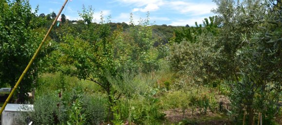 5 غرف نوم منزل في Portalegre, Portugal رقم 173531 5