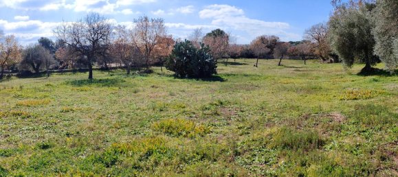 5000m² Land in Palazzolo Acreide, Italy No. 119606 4