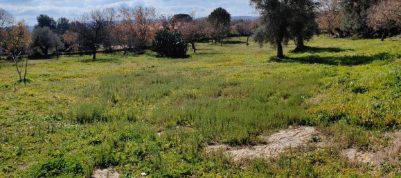 5000m² Land in Palazzolo Acreide, Italy No. 119606 2