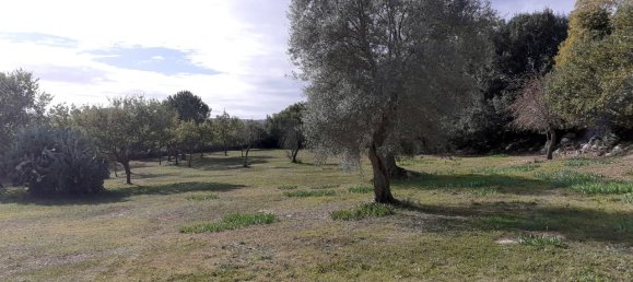 5000m² Land in Palazzolo Acreide, Italy No. 119606 25