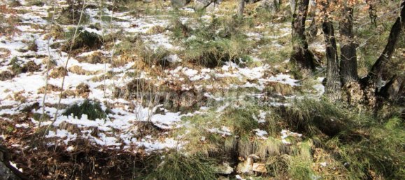 Дом с 3 спальнями в Аньоне, Италия № 341641 19