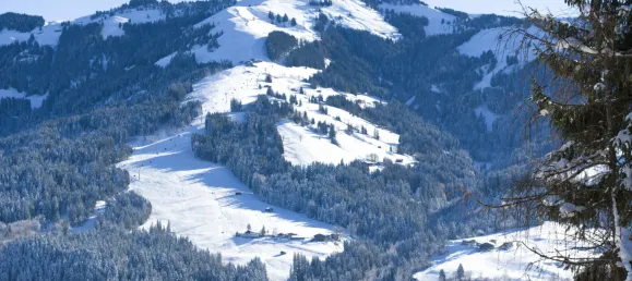 4 bedrooms Land in Kirchberg in Tirol, Austria No. 52985 11