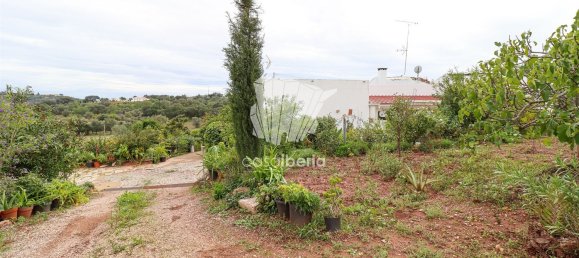 3 bedrooms House in Sao Bras de Alportel, Portugal No. 128369 33
