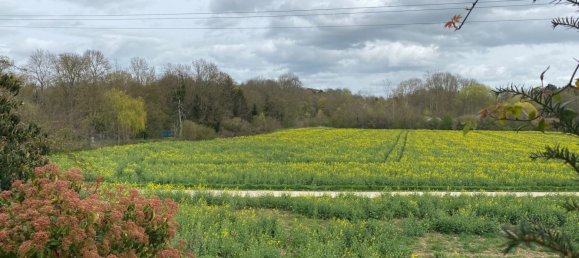 5 bedrooms House in Ferrieres-en-Gatinais, France No. 89636 6