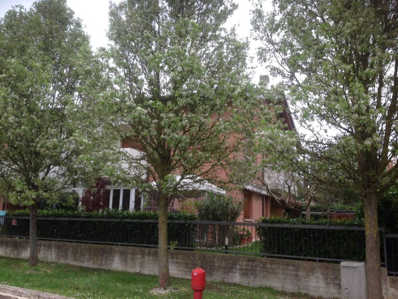 Apartamento de 4 divisões em Cervia, Italy N.º 173989