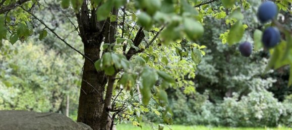 5غرفة منزل في Biberach, Germany رقم 358821 25