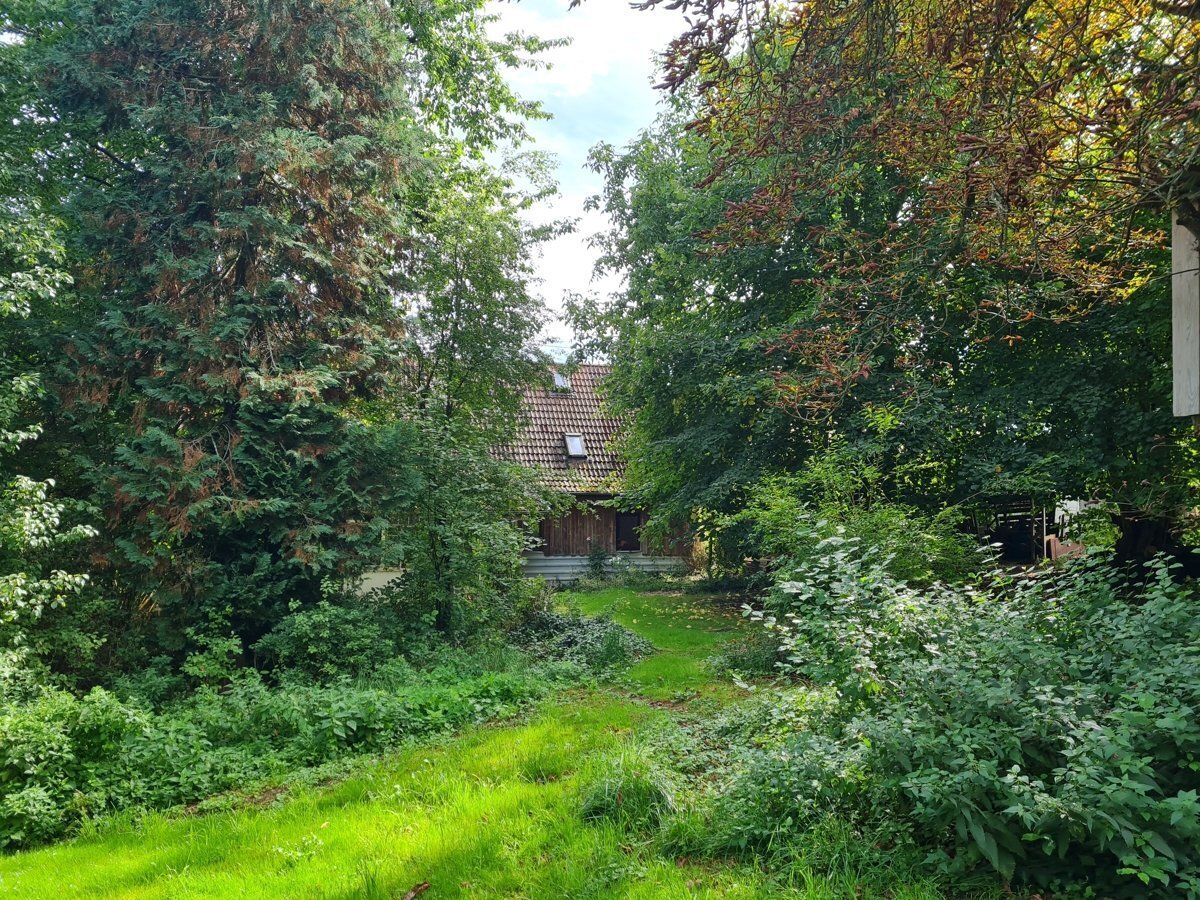 5غرفة منزل في Biberach, Germany رقم 358821