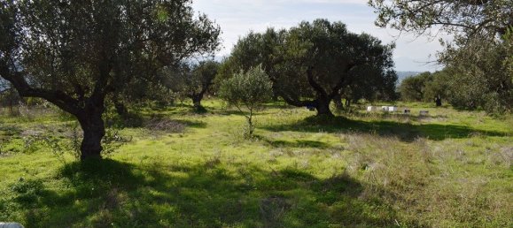 2 chambres Propriété commerciale à Heraklion, Greece No. 4398 7