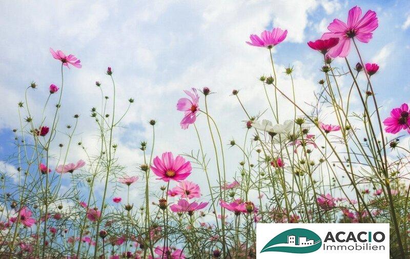 1056m² Land in Michelhausen, Austria No. 218515