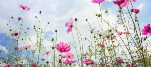 1056m² Land in Michelhausen, Austria No. 218515 6