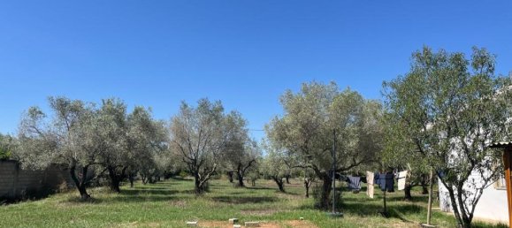 6 chambres Maison à Vinaros, Spain No. 171495 25