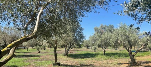 6 chambres Maison à Vinaros, Spain No. 171495 30