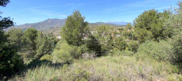 Land in Alhaurin el Grande, Spain No. 126098 38