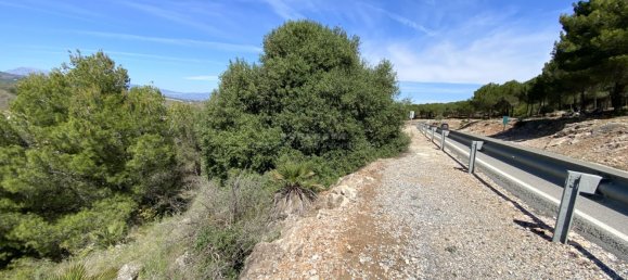Land in Alhaurin el Grande, Spain No. 126098 4