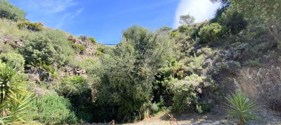 Land in Alhaurin el Grande, Spain No. 126098 18