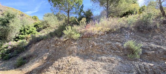 Land in Alhaurin el Grande, Spain No. 126098 16