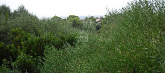  Land in Binibeca, Spain No. 3920 5