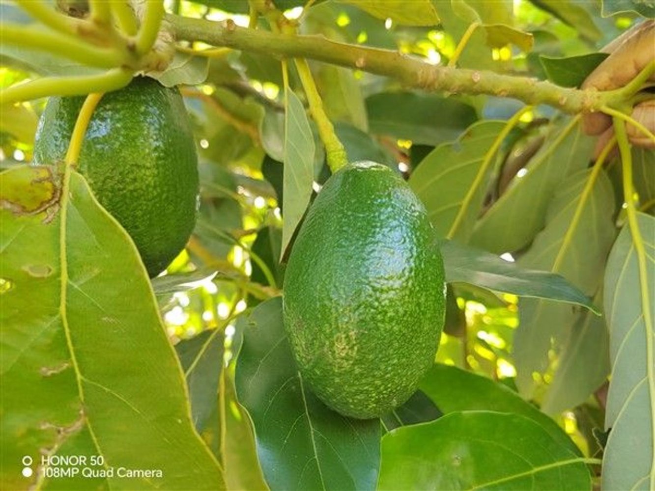 2 bedrooms House in Granada, Spain No. 229269