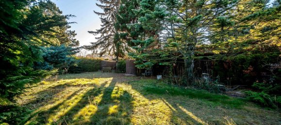 2 rooms House in Neufeld an der Leitha, Austria No. 179014 22