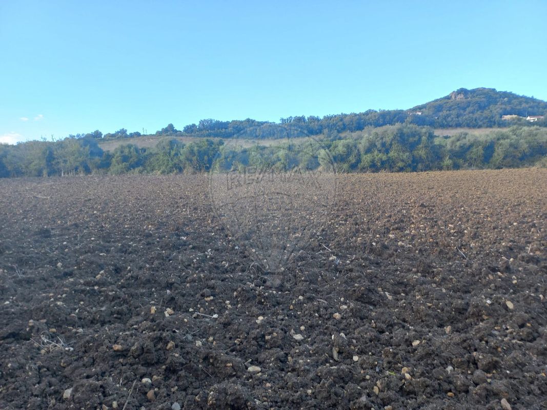 7250m² Land in Mafra, Portugal No. 67341