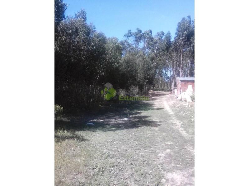 Grundstück in Lourinha, Portugal 6200m², Nr. 66391