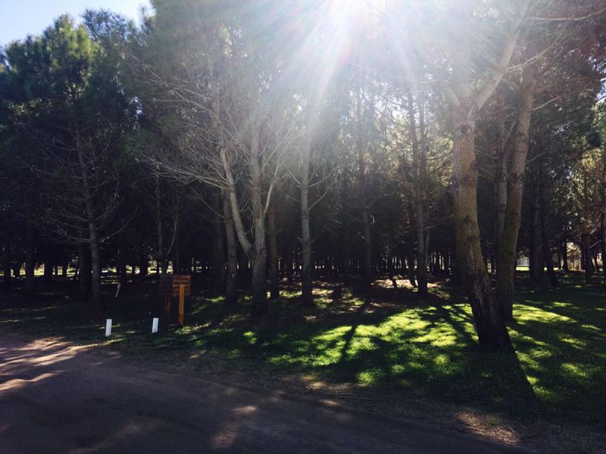  Land in Mar del Plata, Argentina No. 110428