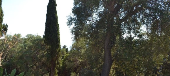 Hotel em Corfu, Greece 4450 m² N.º 69520 11