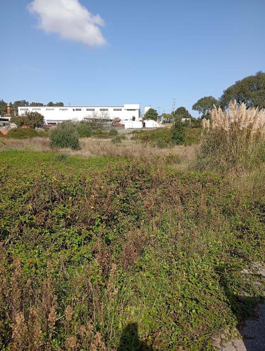  قطعة أرض في Sintra, Portugal رقم 338495