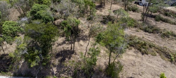 1600m² Commercial property in Ko Samui, Thailand No. 12227 4