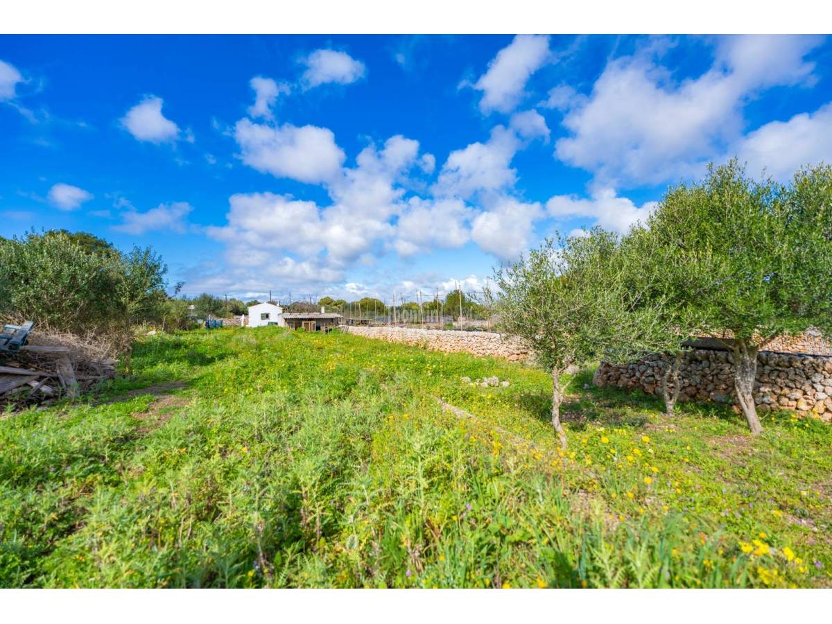  قطعة أرض في Sant Lluis, Spain 36متر مربع رقم 288068