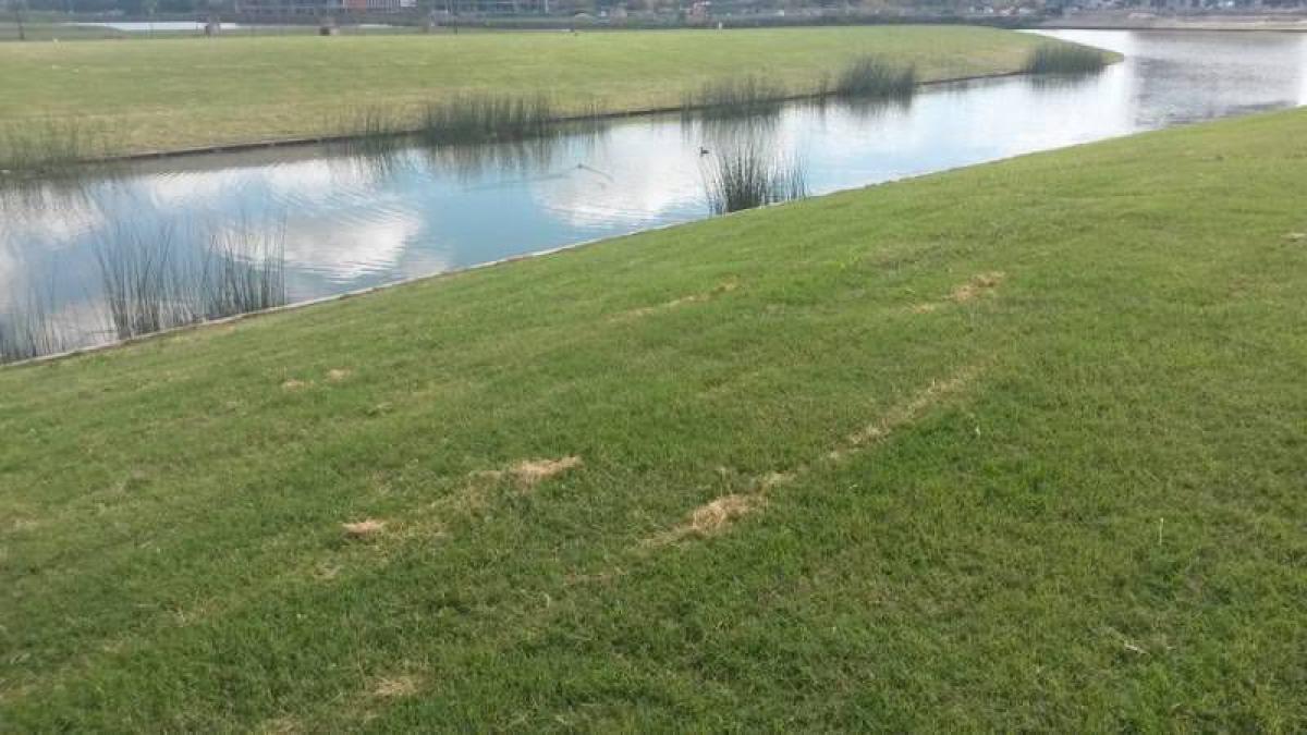  قطعة أرض في Tigre, Argentina رقم 50032