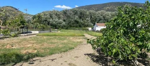  Land in Jaen, Spain No. 154775 7