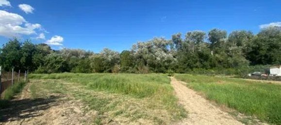  Land in Jaen, Spain No. 154775 6