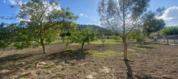  Land in Jaen, Spain No. 154775 15