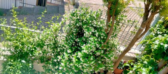 6 rooms Apartment in Montesilvano, Italy No. 96630 12